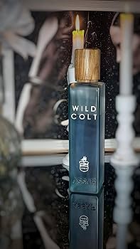 Wild Colt Assaf