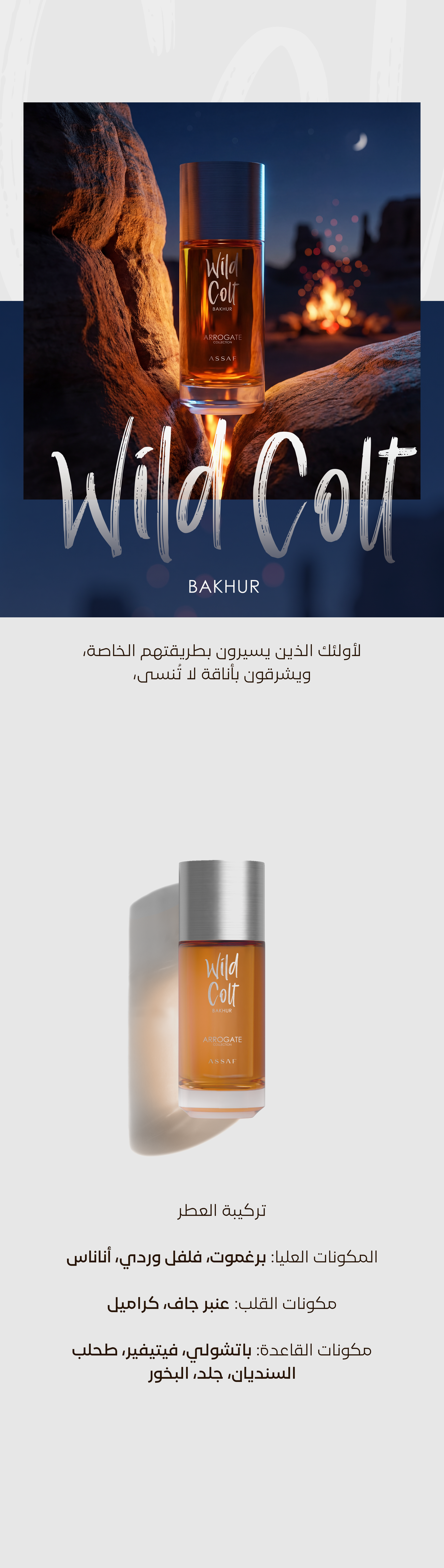 WILD COLT BAKHUR
