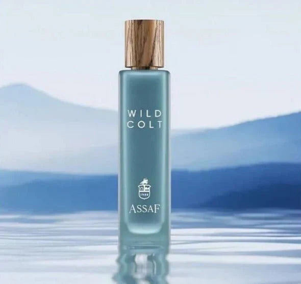 Wild Colt Assaf